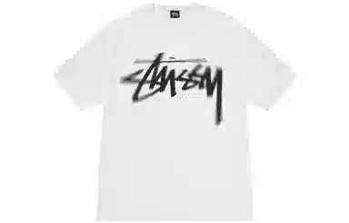 Stussy Dizzy Stock Tee