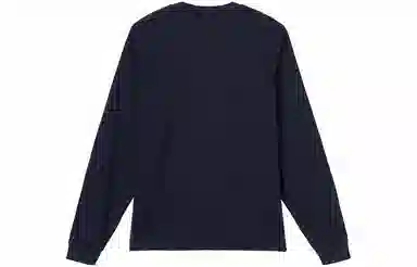 Stussy Overdyed LS Tee LogoT