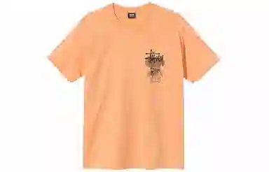 Stussy Ruins Tee