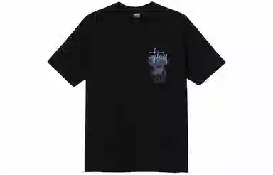 Stussy Ruins Tee