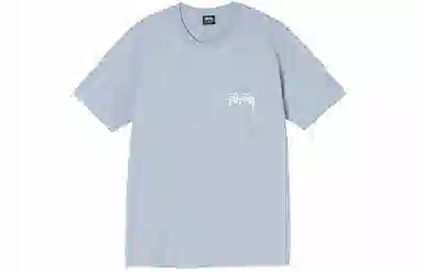 Stussy Higher State Tee T