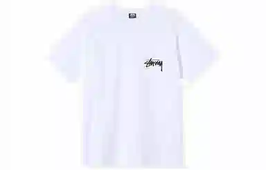 Stussy Big Link Tee T