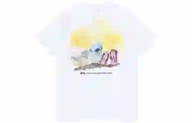 Stussy Higher State Tee T