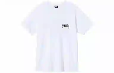 Stussy Higher State Tee T