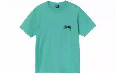 Stussy Big Link Tee T