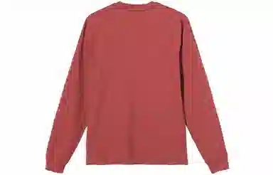 Stussy Overdyed LS Tee LogoT