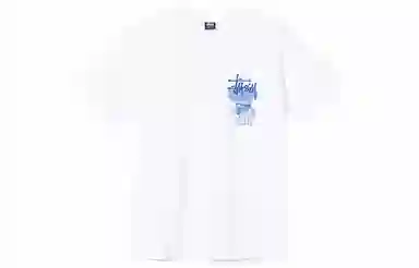 Stussy Ruins Tee
