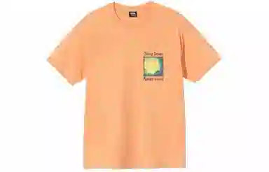 Stussy Midnight Insanity Tee