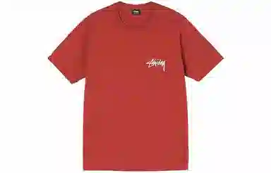 Stussy Higher State Tee T