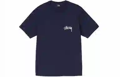 Stussy Higher State Tee T