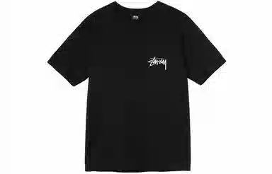 Stussy Higher State Tee T