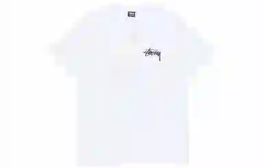 Stussy Higher State Tee T
