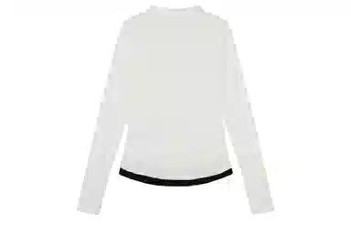 ICONS Lab T