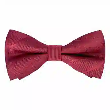 啄木鸟 纯色 结婚领结 婚礼西装衬衣礼服 蝴蝶结 领带 男款