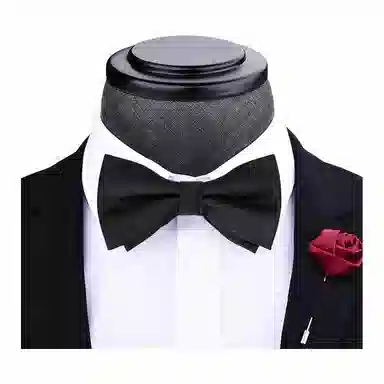 啄木鸟 纯色 结婚领结 婚礼西装衬衣礼服 蝴蝶结 领带 男款