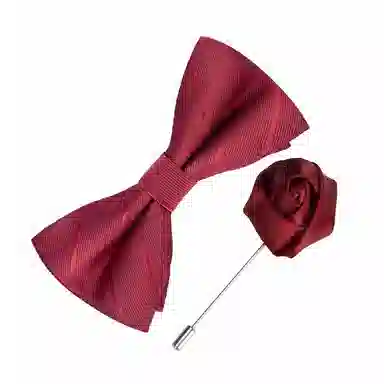 啄木鸟 纯色 结婚领结 婚礼西装衬衣礼服 蝴蝶结 领带 男款