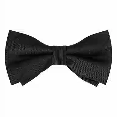 啄木鸟 纯色 结婚领结 婚礼西装衬衣礼服 蝴蝶结 领带 男款