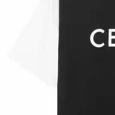CELINE FW22 LogoT
