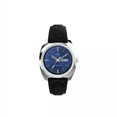 Timex Q Series
