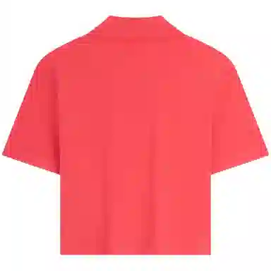 Tommy Hilfiger Polo