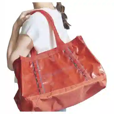 patagonia Tote