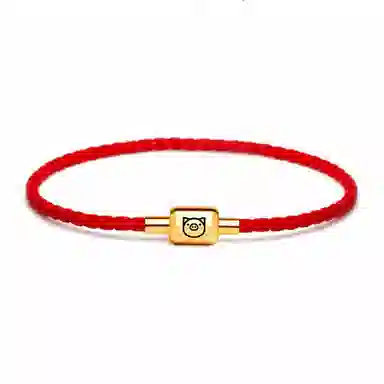 灰鱼 十二生肖红绳新中式国潮风本命年太岁年简约手工编织手绳蛇年红色黑色金色小众高级感转运珠好运 牛皮革 手链 男女同款情侣款