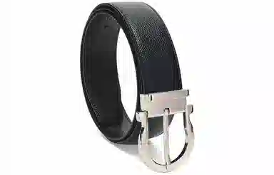 Ferragamo Belt