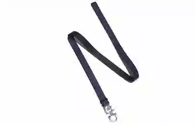 FERRAGAMO Salvatore Gancini 2.5cm