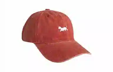 US8ACC