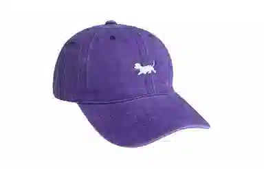 US8ACC