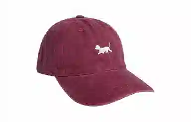 US8ACC