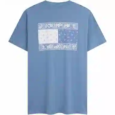 Tommy Hilfiger T