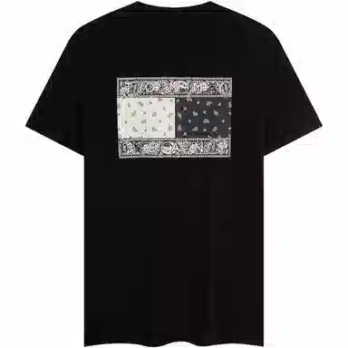 Tommy Hilfiger T