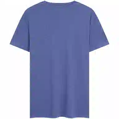 Tommy Hilfiger T