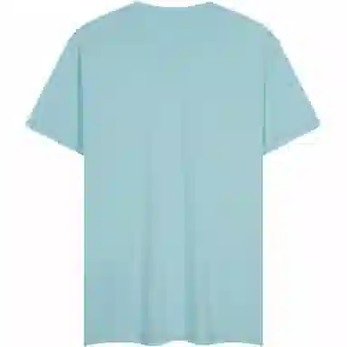 Tommy Hilfiger T