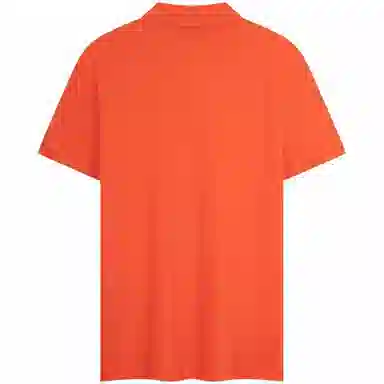 Tommy Hilfiger Polo