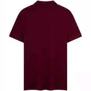 Tommy Hilfiger Polo