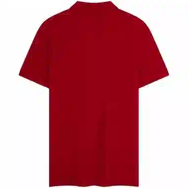 Tommy Hilfiger Polo