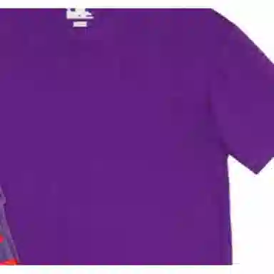 Supreme x Hanes Tagless Tees Purple