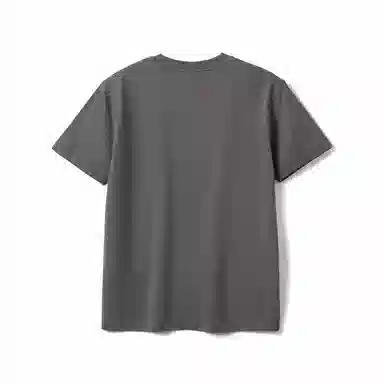 SIMWOOD T