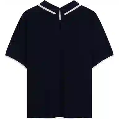 Tommy Hilfiger Polo Shirt