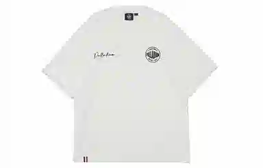 Palladium SS24T