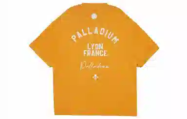 Palladium SS24T
