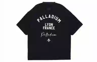 Palladium SS24T