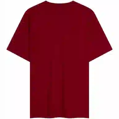 Tommy Hilfiger T