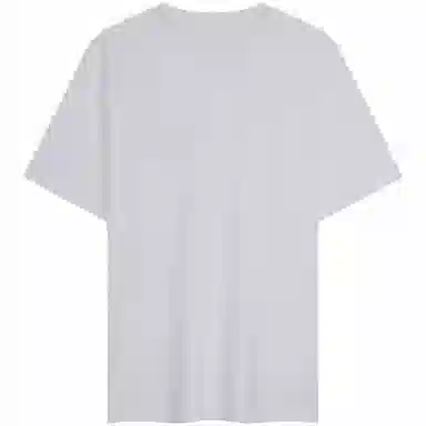 Tommy Hilfiger T