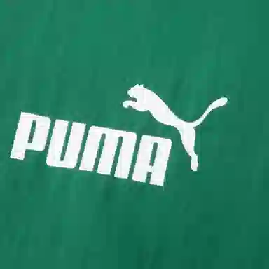 PUMA Hoodie Jacket Men's Dark Green