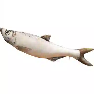 LEWAHON 40cm60cm80cm100cm