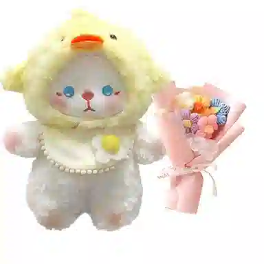 24cm