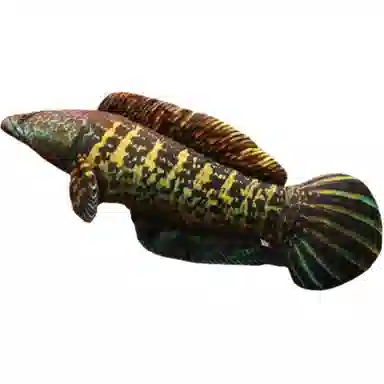 LEWAHON 40cm60cm80cm100cm